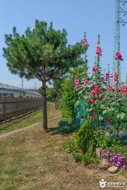 동해_전천·전천생활체육공원 (2).jpg
