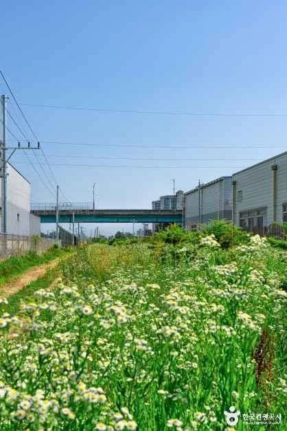 동해_전천·전천생활체육공원 (1).jpg