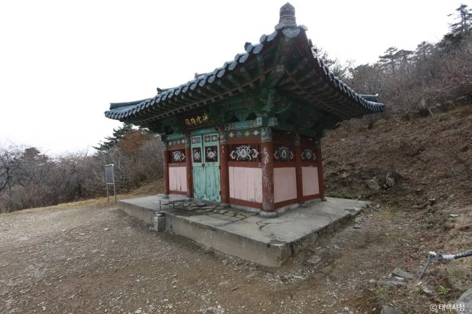 태백_단종대왕비 (1)