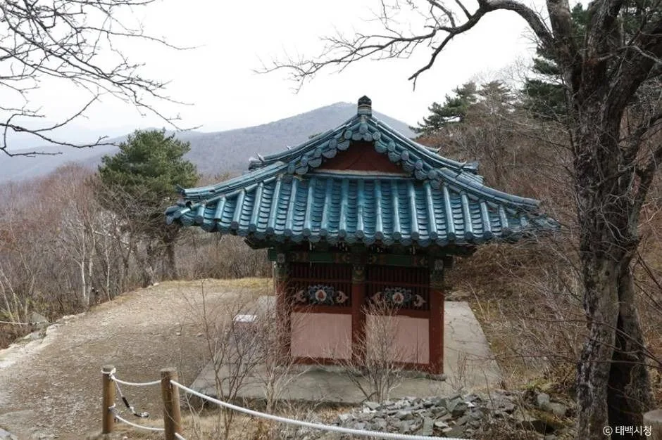 태백_단종대왕비 (2)