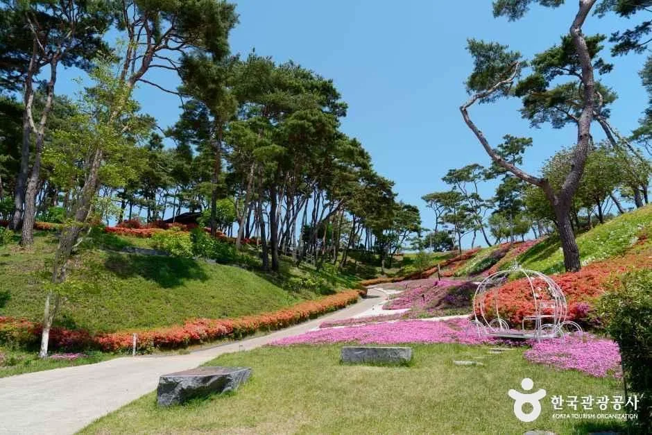 충남_홍성_홍성솔바람테마파크_외부_1.jpg