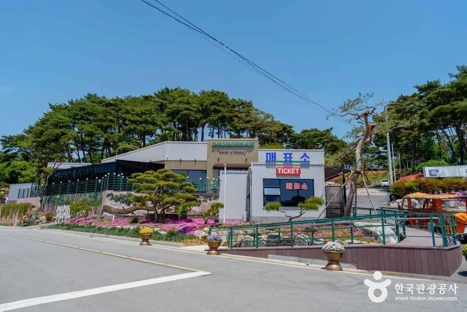충남_홍성_홍성솔바람테마파크_전경_1.jpg