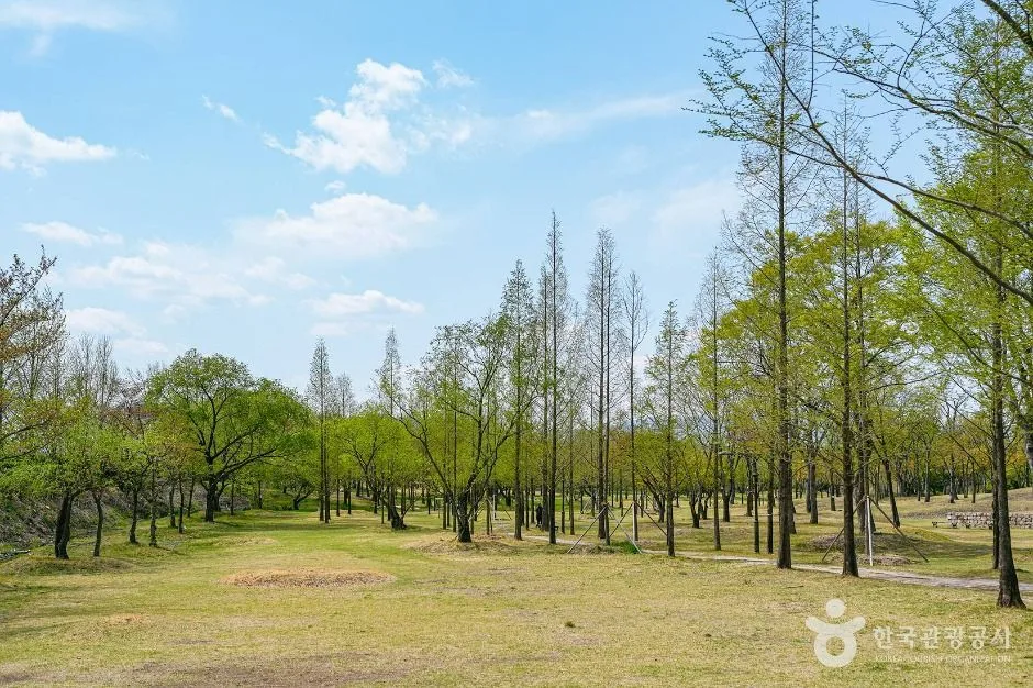 경주_신라왕경숲 (4)