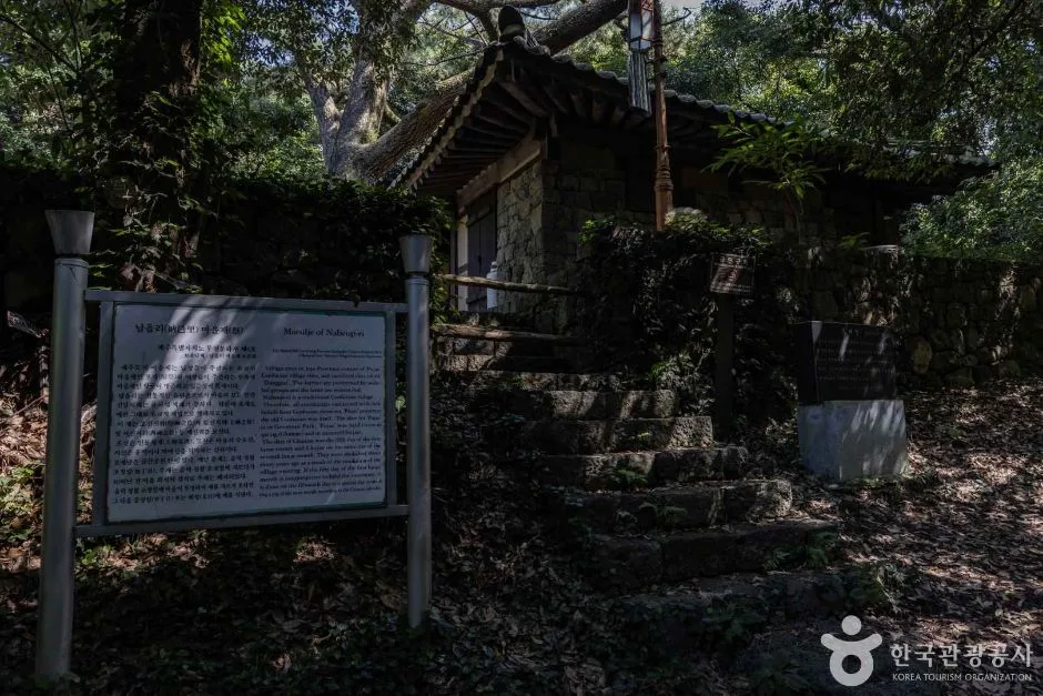 제주_금산공원(납읍난대림지대) (10)