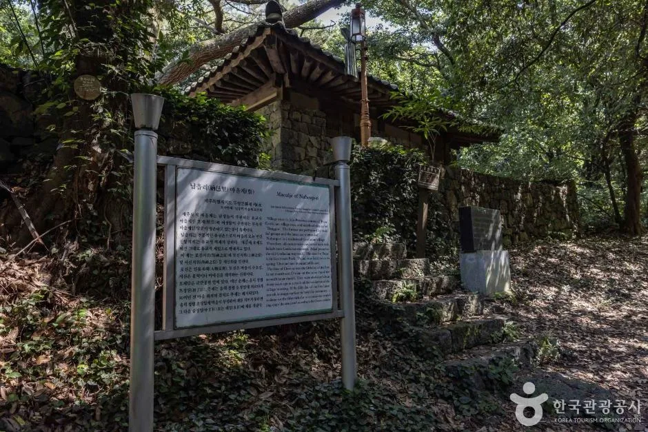 제주_금산공원(납읍난대림지대) (6)