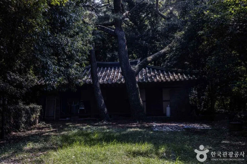 제주_금산공원(납읍난대림지대) (9)