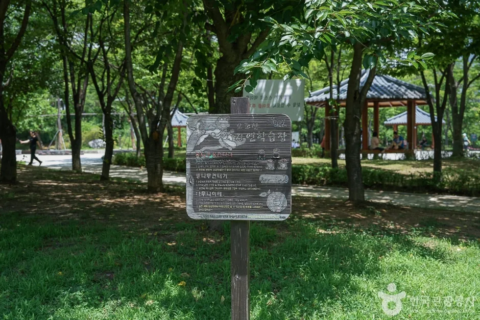 오조산공원13