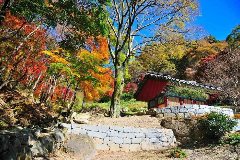 만일사 (5)