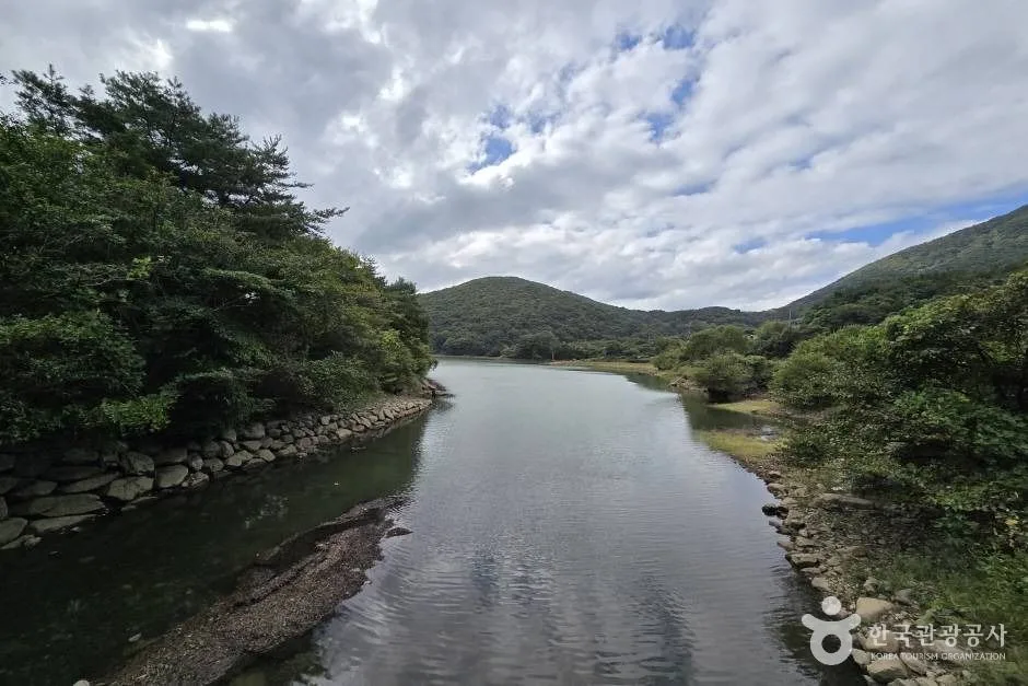 청계계곡_e (3)