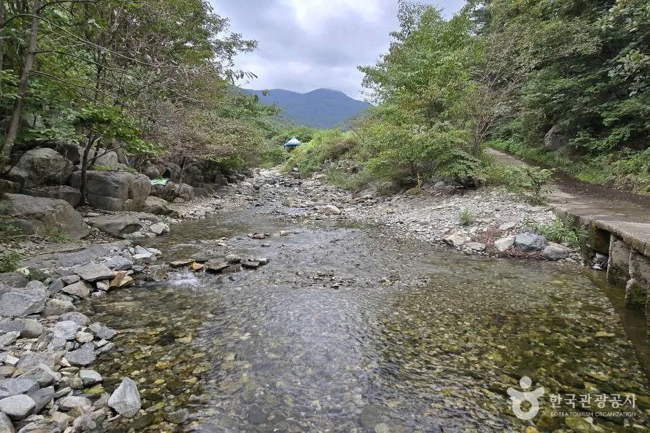 청계계곡_e (7)