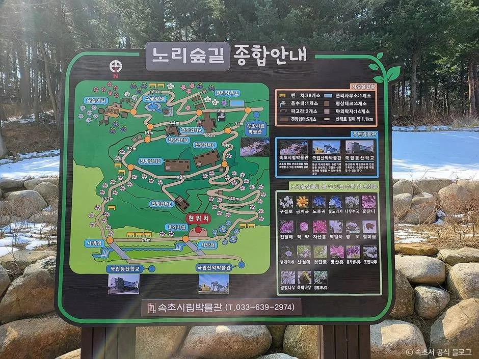 속초_노리숲길 (4)