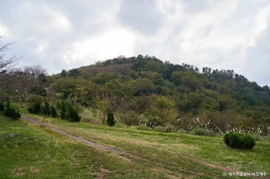 제주_별도봉 (5)