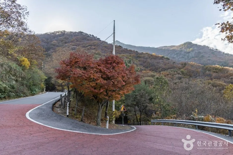 고흥_다도해해상국립공원(고흥) (7)