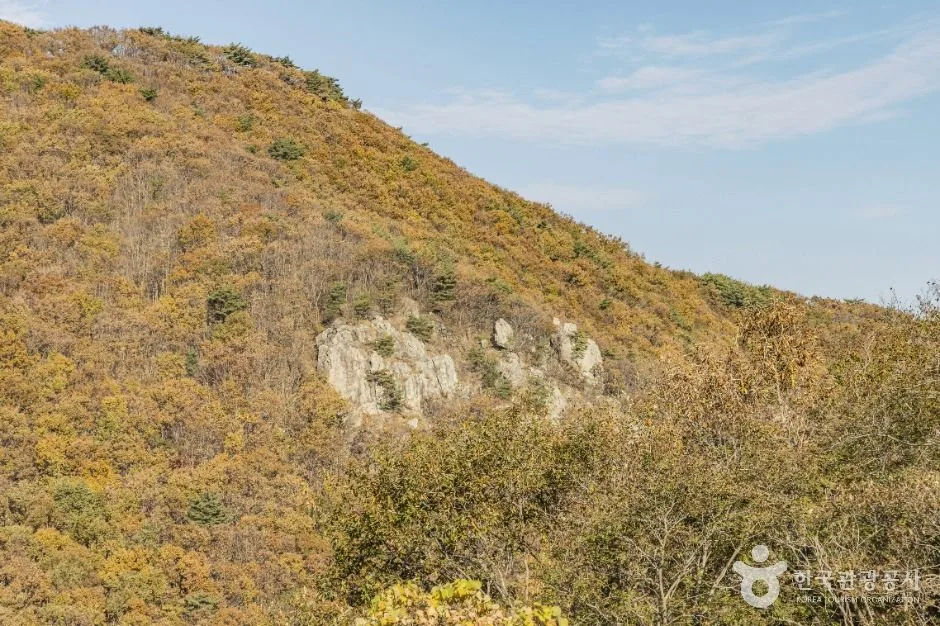 고흥_다도해해상국립공원(고흥) (6)