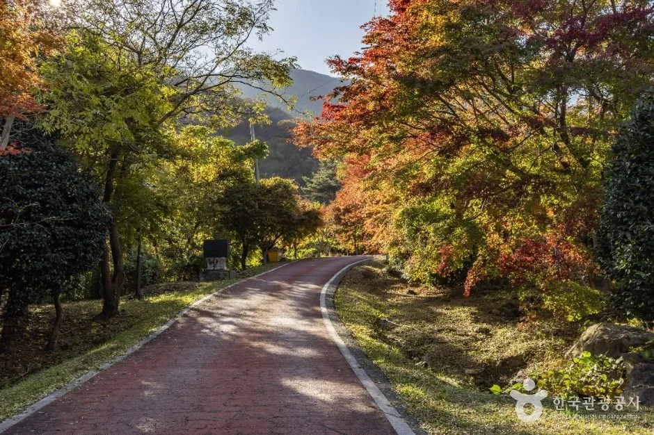 고흥_다도해해상국립공원(고흥) (5)