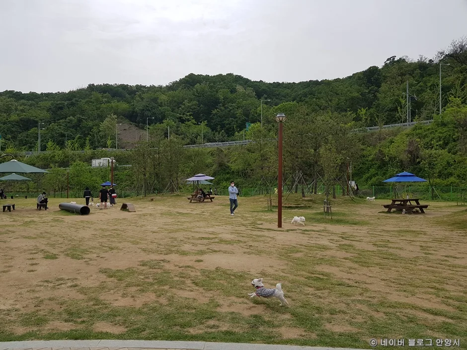 경기도_안양시_삼막애견공원_주차장