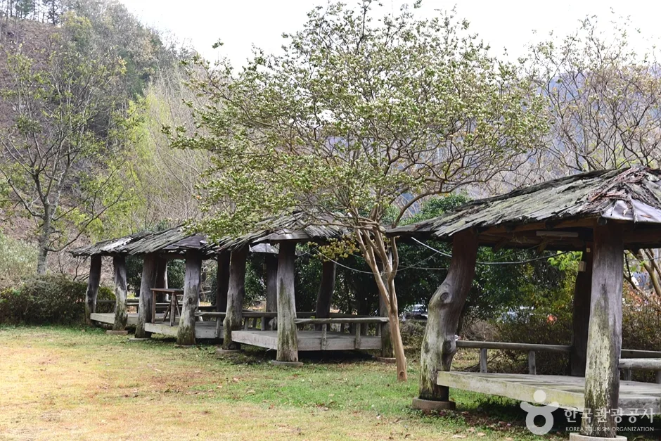 전남_장흥_장수풍뎅이마을 (4)
