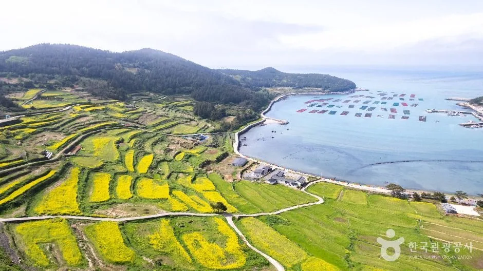 청산도 (3)