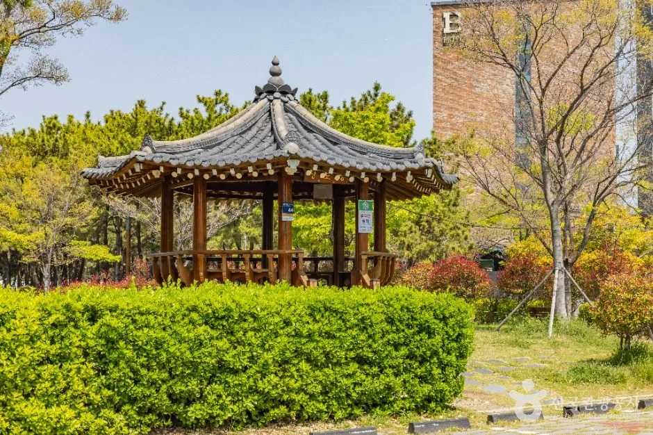 부산_신호공원 (2)