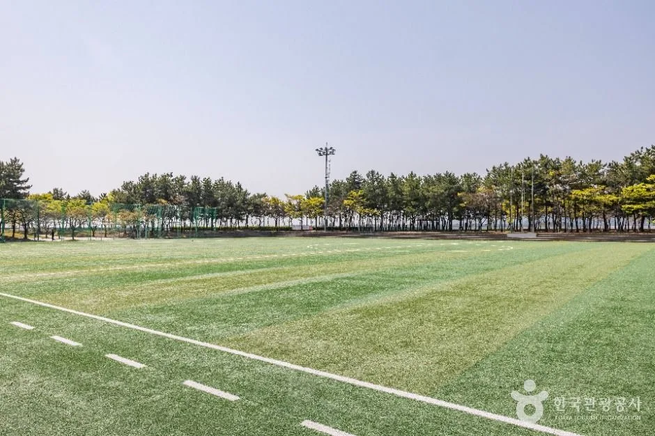 부산_신호공원 (4)