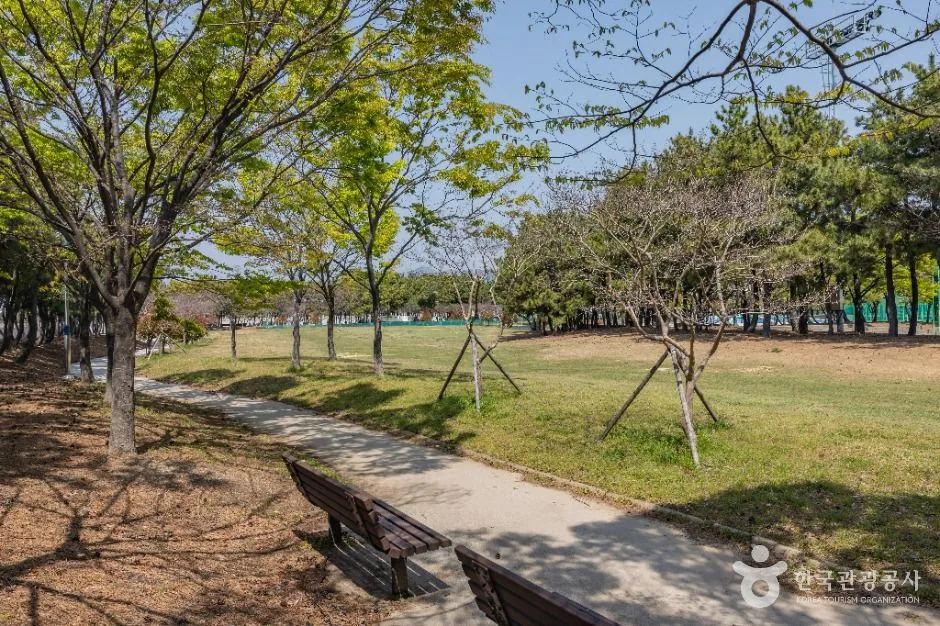 부산_신호공원 (10)