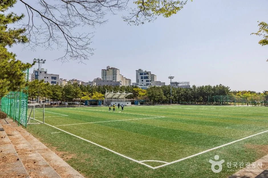 부산_신호공원 (1)