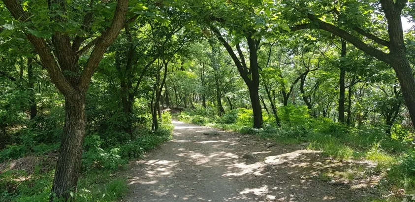 서울 호암산성