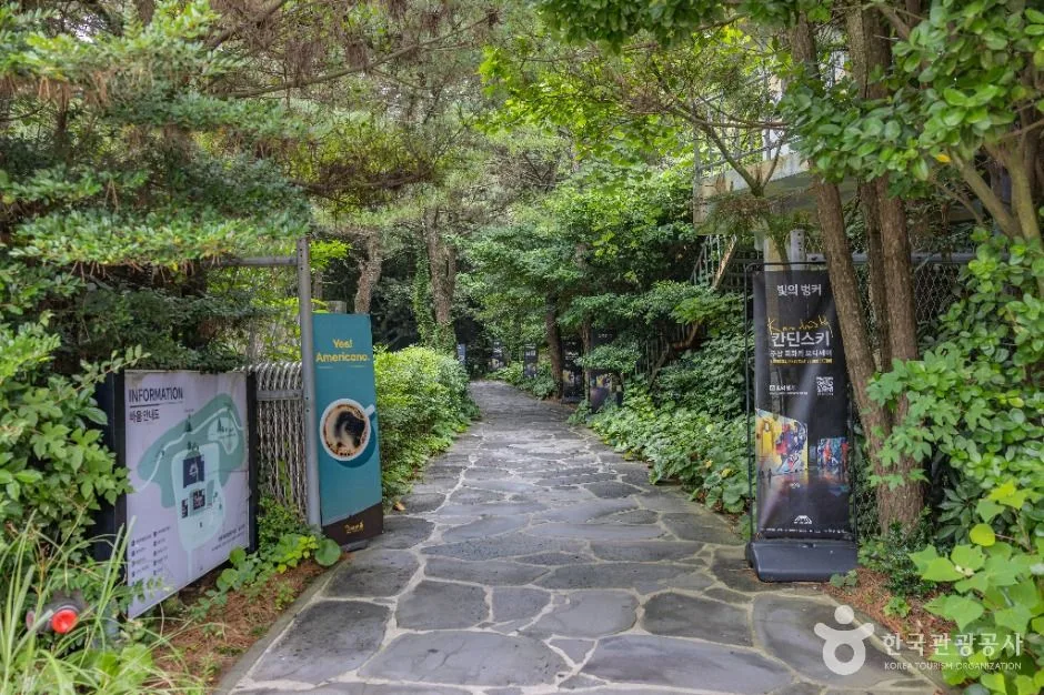 제주_빛의벙커 (1)