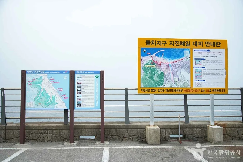 물치항 (04)