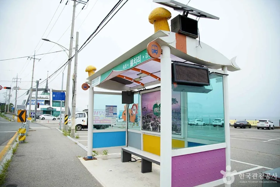 물치항 (11)