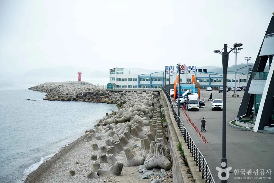 물치항 (08)