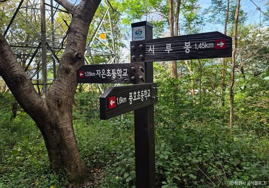 창원_시루봉 (8)