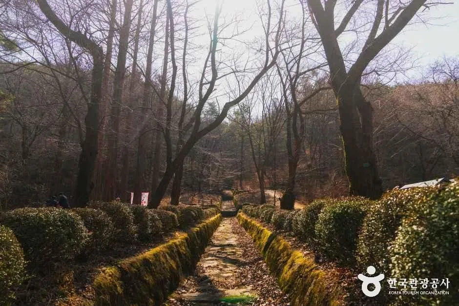 경기_안양_서울대학교 농업생명과학대학 안양수목원_내부_1.jpg