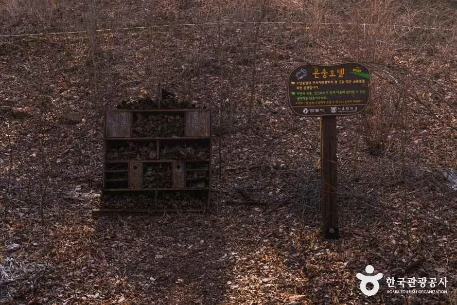 경기_안양_서울대학교 농업생명과학대학 안양수목원_내부_4.jpg