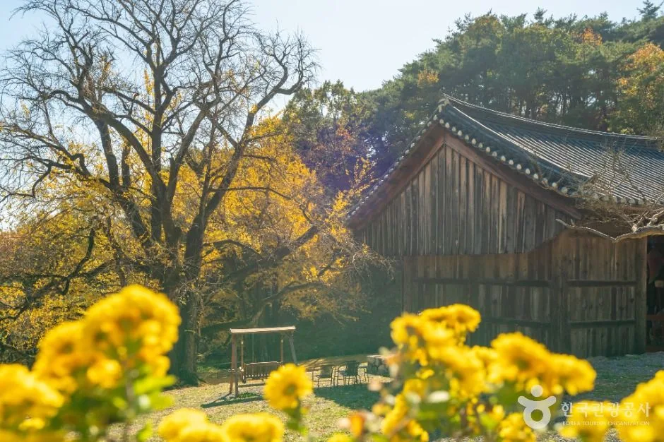 청도_적천사(청도) (6)
