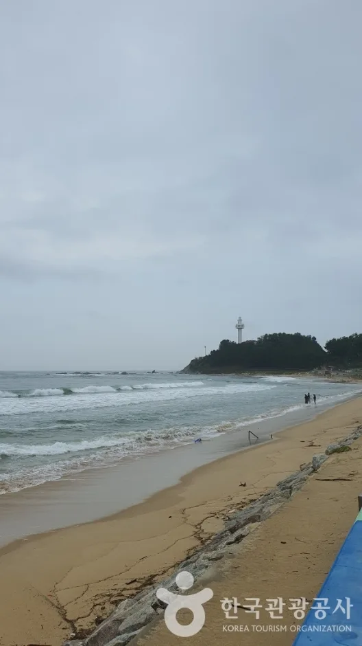 대진1리해변 (1)
