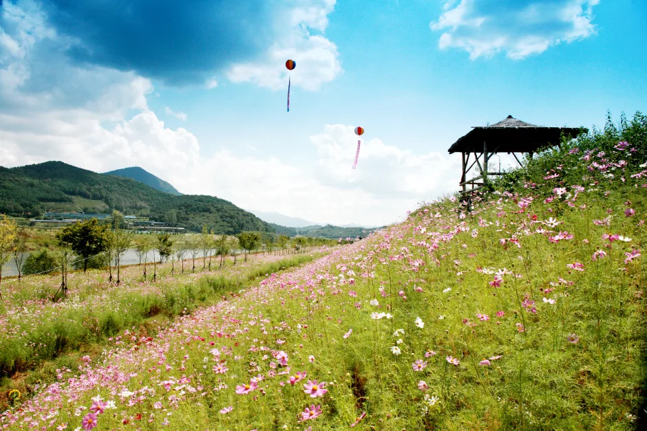 전남_곡성_대황강 자연휴식공원 (4)