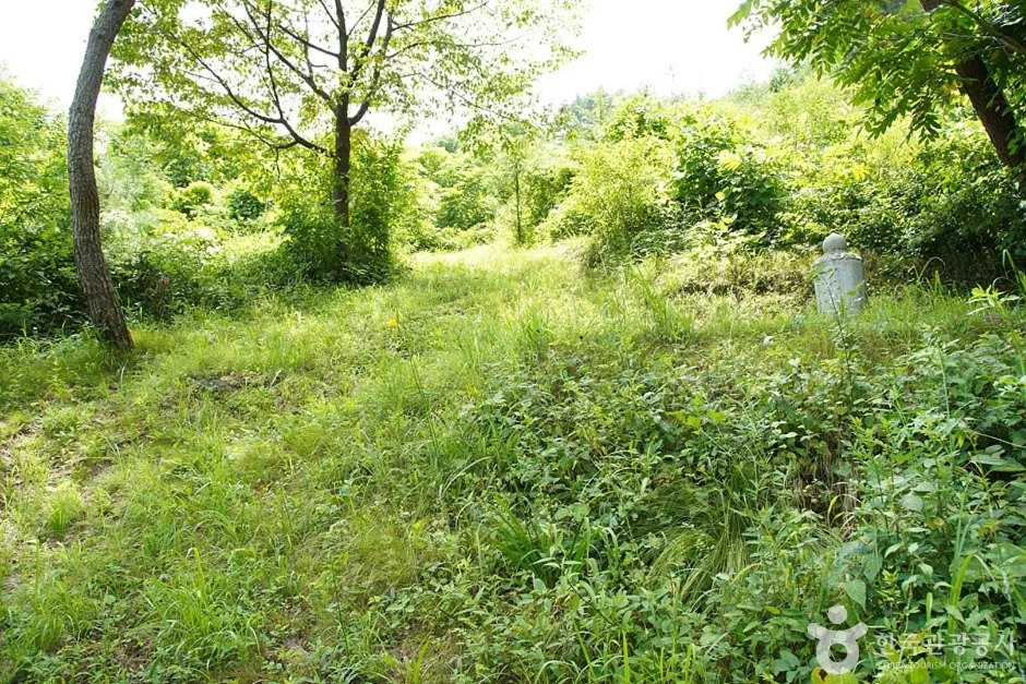 기우산(정선) (12)