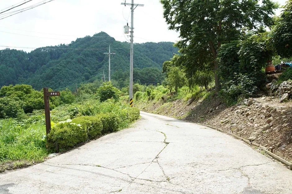 기우산(정선) (05)