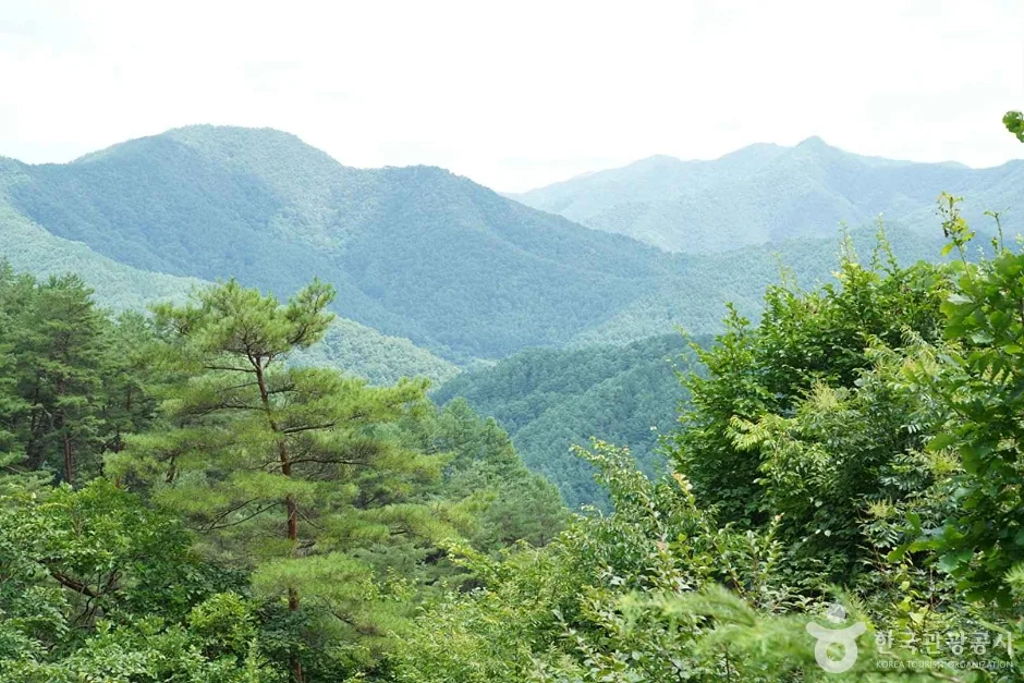 기우산(정선) (16)