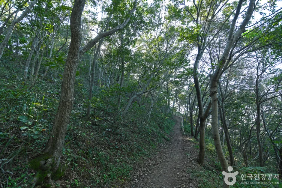 관광두레 9월기사 같이삽시도 (16)