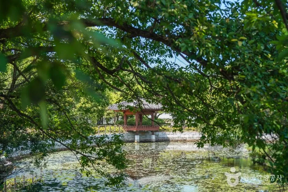 예천_가오실공원 (4)