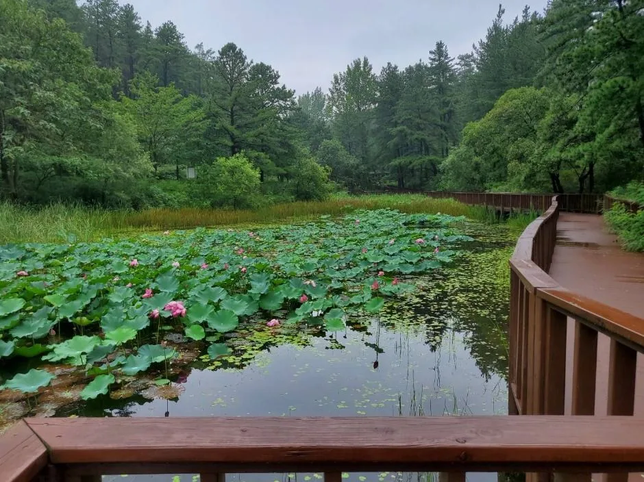 영천_운주산승마자연휴양림 (3)