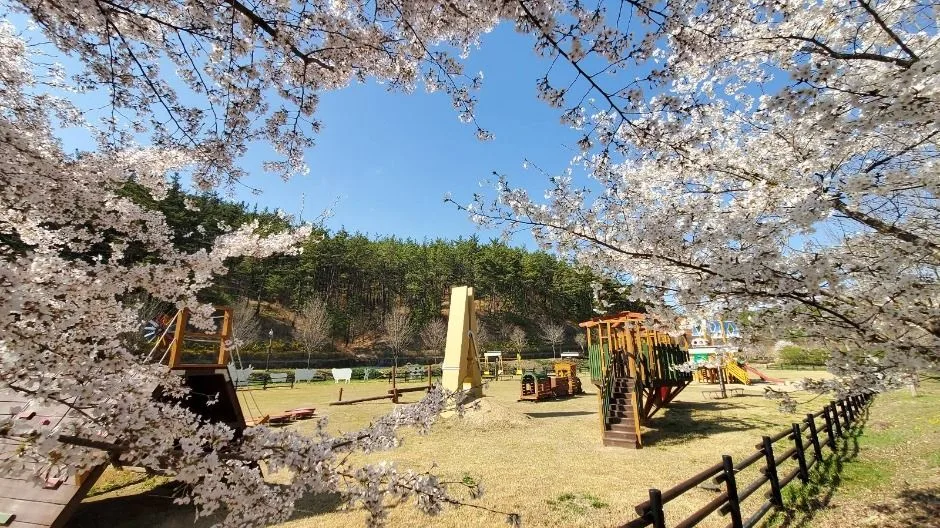 영천_운주산승마자연휴양림 (8)