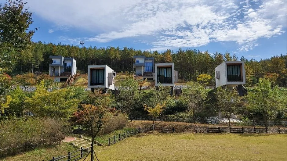 영천_운주산승마자연휴양림 (4)