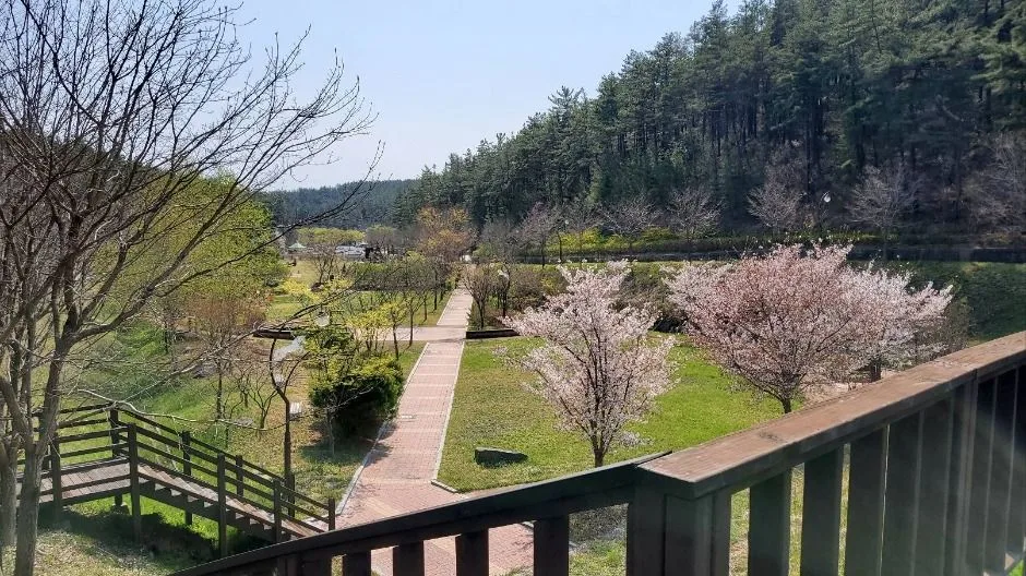 영천_운주산승마자연휴양림 (5)