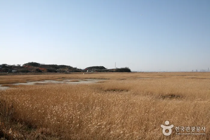 안산에서 즐기는 시원스런 전망과 즐거운 체험