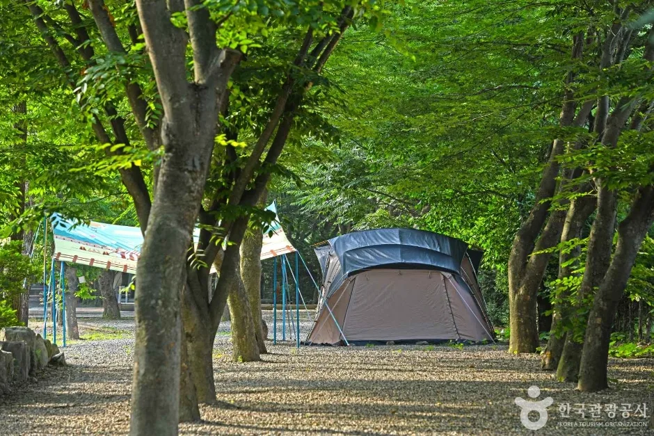 화양동관광농원 (2)