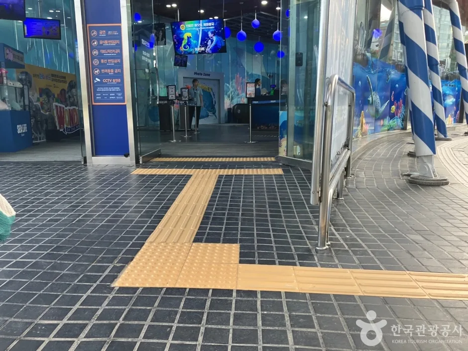 푸른 물결 속으로 떠나는 힐링 여행! 전국 아쿠아리움 추천_부산_해운대_씨라이프부산아쿠아리움_3.jpg
