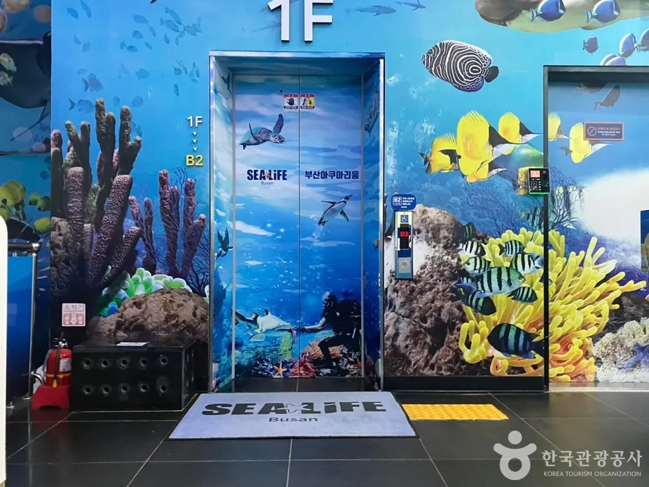 부산씨라이프아쿠아리움_4